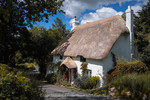 Cottage in Buckland-